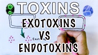 Overview of Toxins  Exotoxins Vs Endotoxins [upl. by Painter]