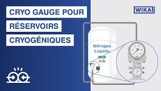 WIKA Cryo Gauge pour la mesure du niveau de réservoirs cryogéniques [upl. by Airetnuhs]