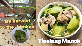 Tinolang Manok  Ilonggo Style  Iloilos kitchen [upl. by Otrebla550]