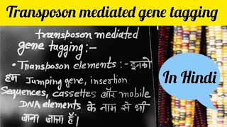 transposon mediated gene tagging in Hindi [upl. by Nappie]