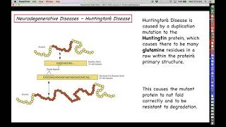 Proteomics  Diseases of Protein Folding [upl. by Bauer]