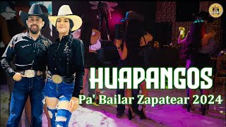 Mix de Huapangos 2024  Huapangos Para Bailar Zapateado 2024  Puros Huapangos Para Bailar Mix [upl. by Olumor]