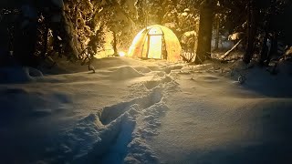 30 FREEZING COLD SOLO WINTER CAMPING [upl. by Warram138]