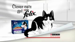 Purina  Clever Cats get FELIX TV Commercial 2017 [upl. by Antonin]