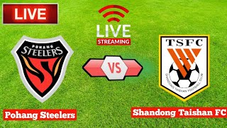 Pohang Steelers Vs Shandong Taishan FC Live [upl. by Brandes]