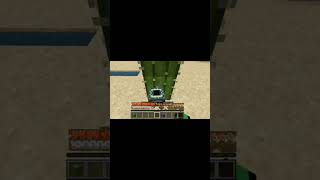 Black Hole In Minecraft minecraft subscribe cactus [upl. by Eicats]