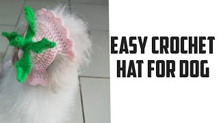 Easy crochet hat for dog [upl. by Yreme381]