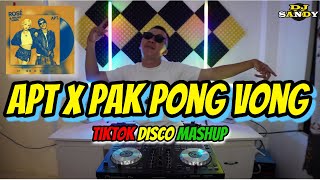 APT X PAK PONG VONG TikTok Disco Mashup  Dj Sandy Remix [upl. by Llennor641]