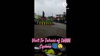 Dana Cyclone 🌀  Cyclone DANA 😲  Visit to Talsari of Dana Cyclone 😱 thecyclone weatherupdate [upl. by Aehsa]