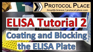 ELISA Tutorial 2 Coating and Blocking the ELISA Plate [upl. by Adnalay427]