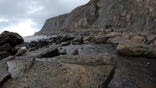 FOSSILHUNTING WITH FOSSILIFEROUS AT ROBIN HOODS BAY FOR RARE AMMONITES [upl. by Aokek608]