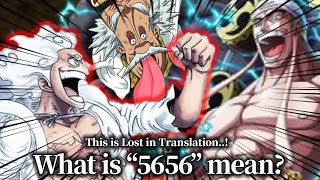 quotNIKAquot Luffy and Enel Secret is Lost in Translation One Piece analysis with a Japanese Translator [upl. by Kidd]