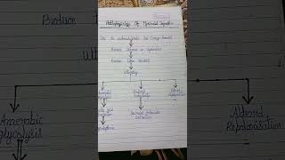 Pathophysiology of myocardial infraction [upl. by Adiazteb112]