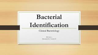 Bacterial Identification using Microscopy Staining and Motility [upl. by Thun]