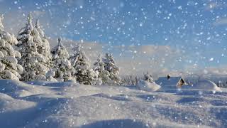 Winter wonderland with relaxing piano music Smart TV background video [upl. by Brendis]