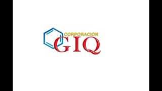 Corporación GIQ [upl. by Eanerb]