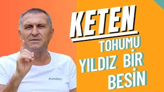 KETEN TOHUMU FAYDALARI KETEN TOHUMU NASIL KULLANILIR TÜKETİLİR ÖZELLİKLERİ [upl. by Georgie800]