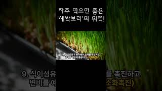 매일 먹어도 좋은 새싹보리의 위력 새싹보리효능 sprout barley effect [upl. by Klockau]