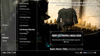 Skyrim mod Spotlight Craftable Clothes And Robes [upl. by Yemirej]