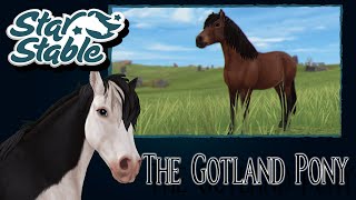 SSO  The Gotland Pony  All Animations Colors Manes Stats and Price released [upl. by Hamaso]