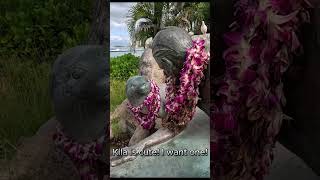 Cool Waikiki Statues waikiki waikikibeach oahu [upl. by Grossman]