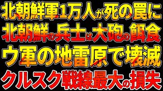 【ウクライナ戦況】北朝鮮軍1万人が死の罠に！北朝鮮軍の兵士は“大砲の餌食”ウクライナ軍の地雷原で壊滅！クルスク戦線最大の損失 [upl. by Oicapot]