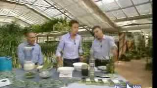 RAIUNO  Coltivazione ALOE Vera  GardenDester [upl. by Aiynot]