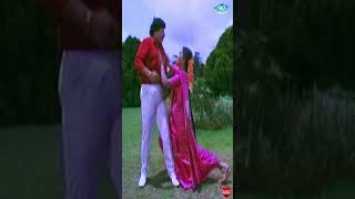 Nali nali nalivina Vele  Kannada song kannada lyrics spbalasubrahmanyam kannadasong shorts [upl. by Yralam130]