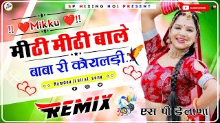 Mithi Bole Baba Ri Koyaldi Dj Remix  Raju Rawal बाबा री कोयलड़ी  New Ramsapeer Songs  Sp Delana [upl. by Ellinger]