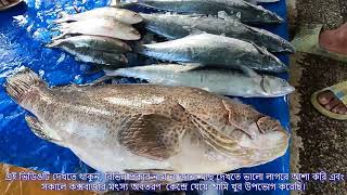 তাজা মাছের বাজার  Fishery Ghat Fish Market  কক্সবাজারের বিখ্যাত পাইকারী ও খুচরা মাছের আড়ত [upl. by Carrel706]