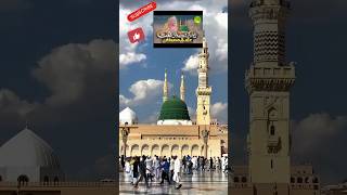 سب ہیں آقا محمد ﷺ کے زہر قدم heartfeltnaat ytshort anfaaldreams [upl. by Atteyek]