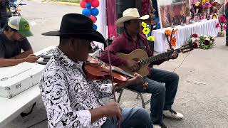 San Miguel Arcángel danzas Bustamante Tamaulipas [upl. by Ttelrats710]