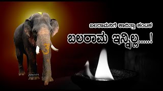 ಸೌಮ್ಯ ಸ್ವಭಾವವಿ ಬಲರಾಮ ಇನ್ನಿಲ್ಲ😭 Mysuru Dasara Elephant Balarama deathಅನಾರೋಗ್ಯದಿಂದ ಬಳಲುತ್ತಿದ್ದ ಬಲರಾಮ [upl. by Lemcke]