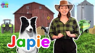 JAPIE die Hond  Afrikaanse Liedjie vir Kinders  Opvoedkundige Videos vir Kleuters [upl. by Dottie]