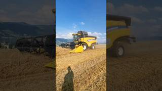 Bester Sommer 2024 🔥 agriculture switzerland swissmachinery [upl. by Airrotal411]