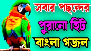 মধুর কন্ঠের একটি সেরা গজল Madhur counter akti notun gojol [upl. by Sayre]