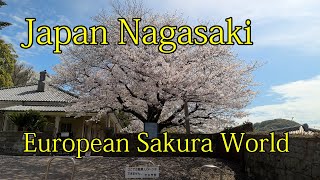 Japan Kyushu Nagasaki European World Dutch Slope Higashiyamamate Oura Cathedral Glover Garden [upl. by Shu]