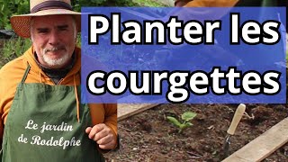 Comment bien planter les courgettes en pleine terre [upl. by Ahsercel]