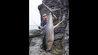 Huge Yellowfin Tuna on a popper LandbasedWorld Record denied by huge Shark Biggest ever Landed [upl. by Naihr730]