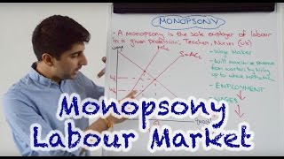 Monopsony  Labour Market Impact [upl. by Hnahc]