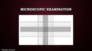 Microscopic examination of CSF  Cerebrospinal Fluid  Microscopy [upl. by Iah703]