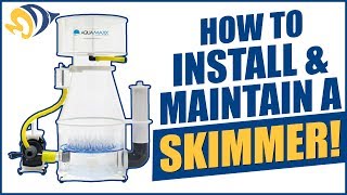 How to Install and Maintain an InSump Protein Skimmer [upl. by Senhauser935]