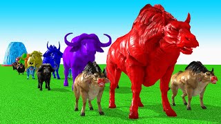 Paint Animals Cow CartoonBuffaloBullyakOxFountain Crossing Animal Game [upl. by Khai]