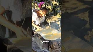 Así es como una de las familias tzeltales en Chiapas hace tortillas viajes visitchiapas turismo [upl. by Ocisnarf]