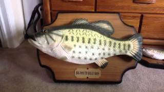 lakewi44s singing fish collection update [upl. by Micky]