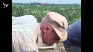 Pioniers de kolonisten van de Noordoostpolder van 19052013 [upl. by Ingram53]