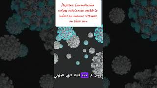 Immunogen Antigen Haptens amp Epitopes مفاهيم مهمة لفهم المناعة medicalstudent lnl immunology [upl. by Adnirual]