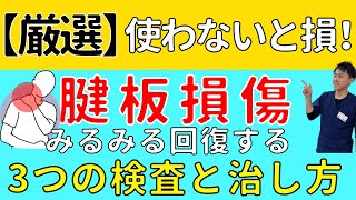 【腱板損傷】絶対に知っておきたい腱板損傷の３つの検査法と治し方【整骨院の先生直伝】 [upl. by Hales]