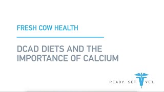 DCAD Diets and the Importance of Calcium [upl. by Schou111]