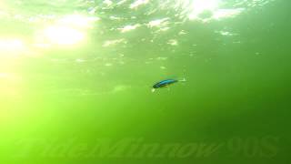 DUOs Lures in Motion 31 Tide Minnow 90S [upl. by Naimerej212]